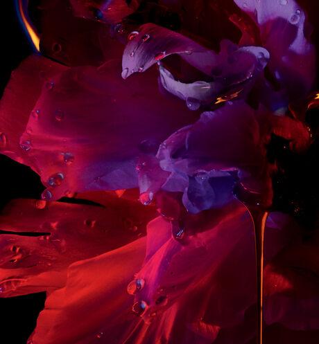 Dior Hypnotic Poison EDT - Image 7