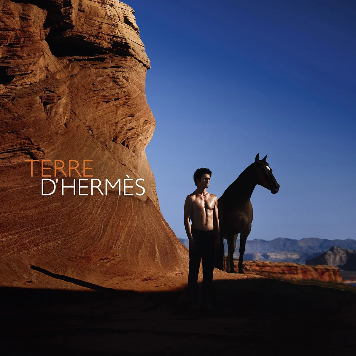 HERMÈS Terre d'HERMÈS Pure Parfum - Image 3